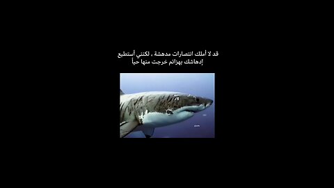 swimming