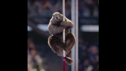 The groundhogs test the pole vault!