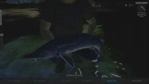 Ultimate Fishing Sim 2 Folge 14 der Europäische Hausen Teil 2