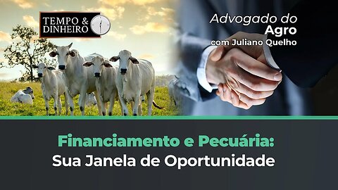 Financiamento à Mão: Aberta a Janela de Oportunidade para Pecuaristas 🐄💰