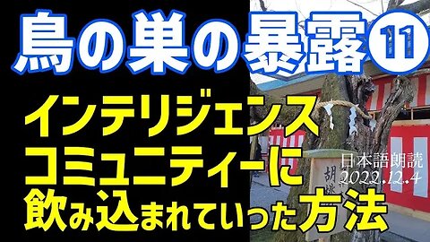 鳥の巣の暴露🐤第11弾～インテリジェンスコミュニティーに飲み込まれていった方法[日本語朗読]050104
