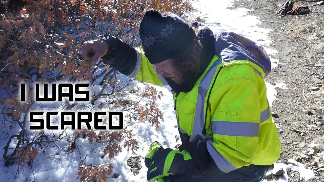 I Was Charged By A Sasquatch South Of Salida