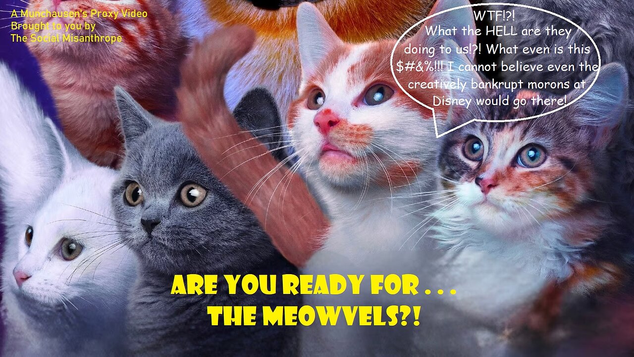 Are You Ready For . . . The Meowvels?!-Disney Marvel Vid-A Munchausen’s Proxy-The Social Misanthrope