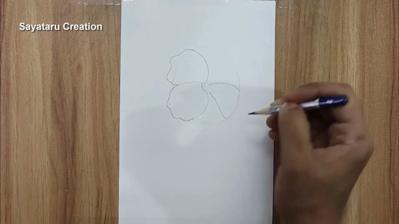 How to draw a hibiscus flower step by step pencil sketch