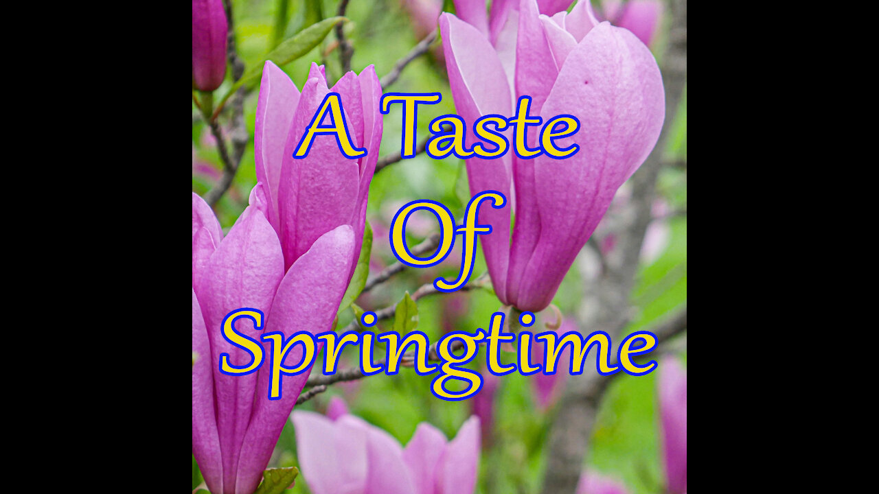 A Taste of Springtime