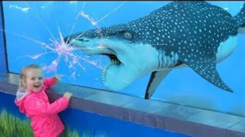 Funniest Moments Baby Meet Animals D- Funny Animals Reaction | baby shark