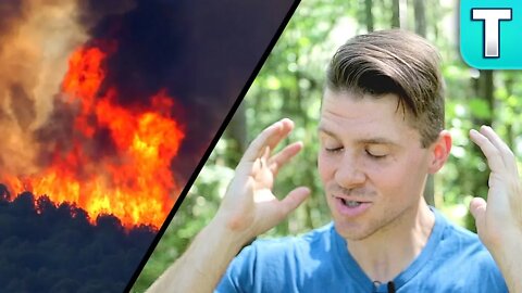 The Real Effects of Bolsonaro Burning the Amazon