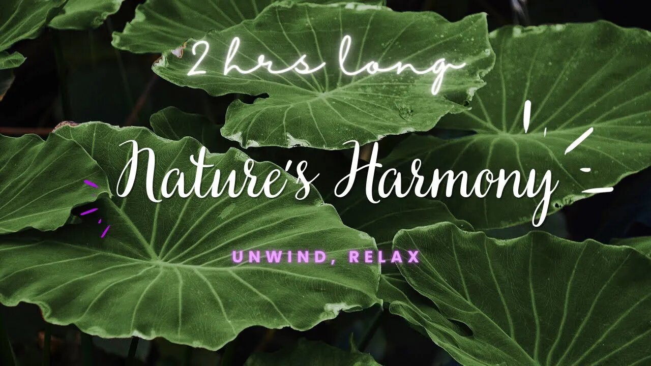 Unwind in Nature's Lofi Harmony: 2 Hours of Relaxing Music for Deep Sleep, Meditation, Stress Relief