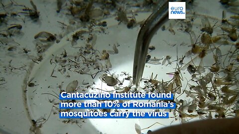 More Fear-Porn from MSM: West Nile Virus kills three people in Romania