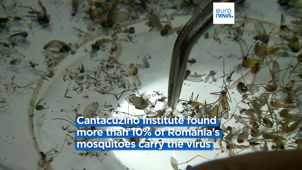 More Fear-Porn from MSM: West Nile Virus kills three people in Romania