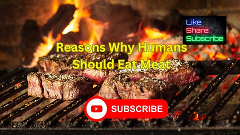 Reasons Why Humans Should Eat Meat