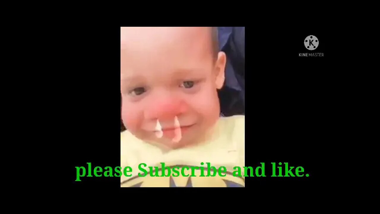 funny videos ultimate compilation