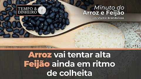 Arroz vai tentar alta, Feijão ainda em ritmo de colheita