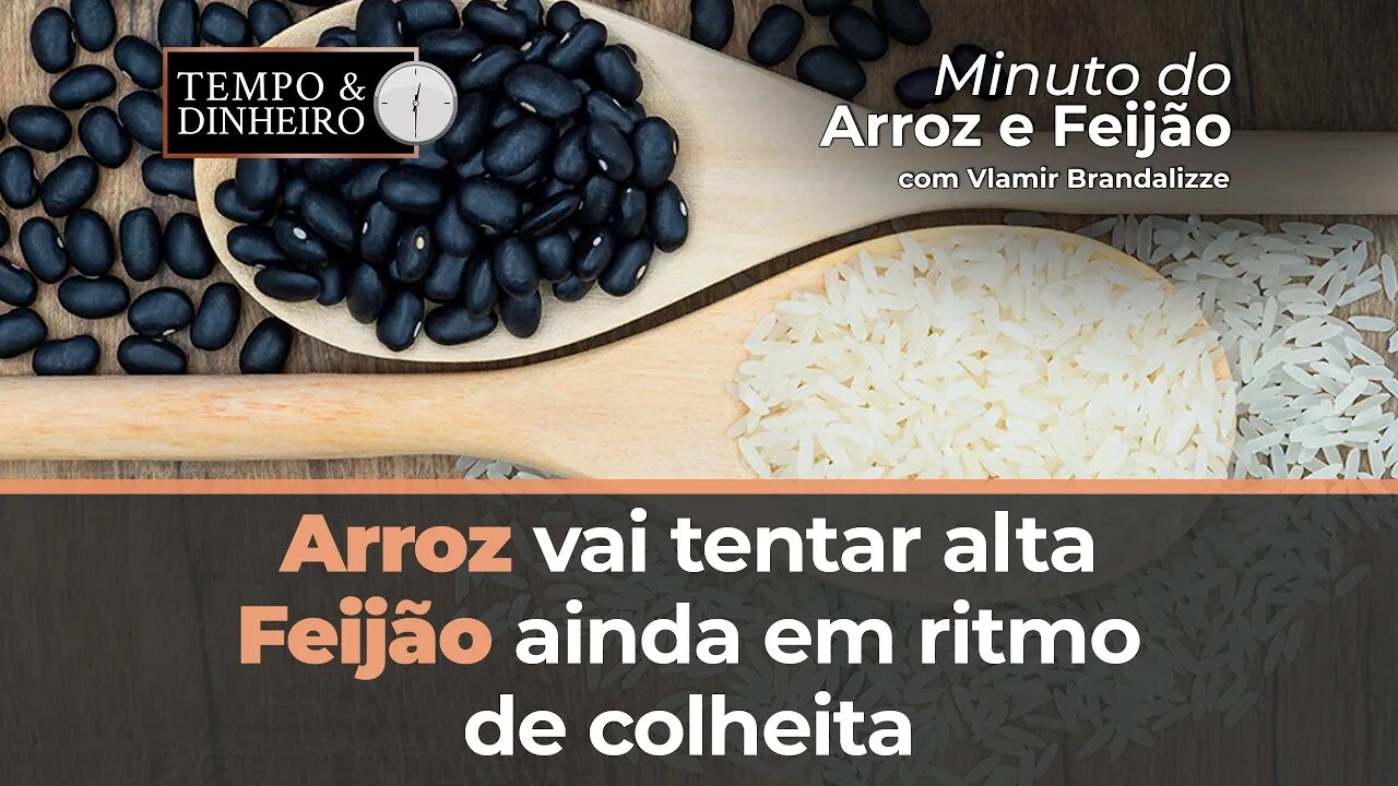 Arroz vai tentar alta, Feijão ainda em ritmo de colheita