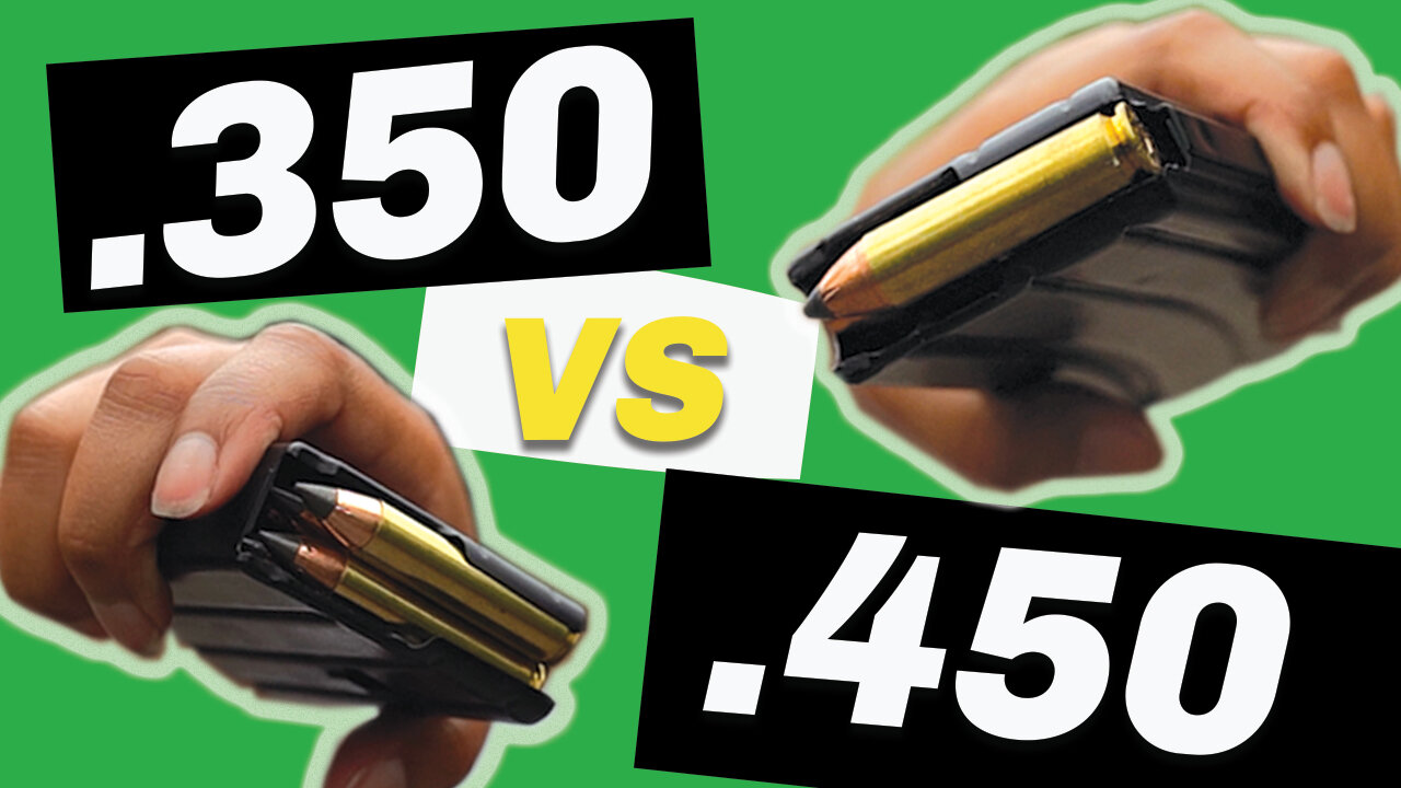 .350 Legend vs .450 Bushmaster [Which the Best?]