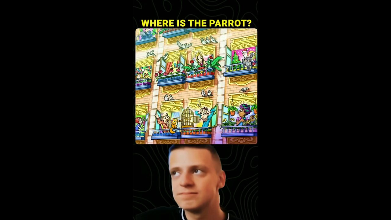 where is the parrot