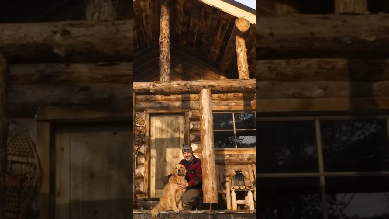 From Forest to Shelter: Captivating Time-lapse of a Solo Log Cabin Build in the Wilderness