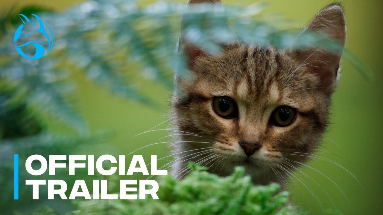 A Cat's Life | Official Greenband Trailer