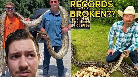 Largest Burmese Python Record BROKEN in Florida