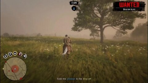 Red Dead Redemption 2_20220106180511