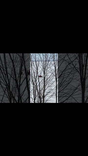 Continued ice fishing on Lake Superior.