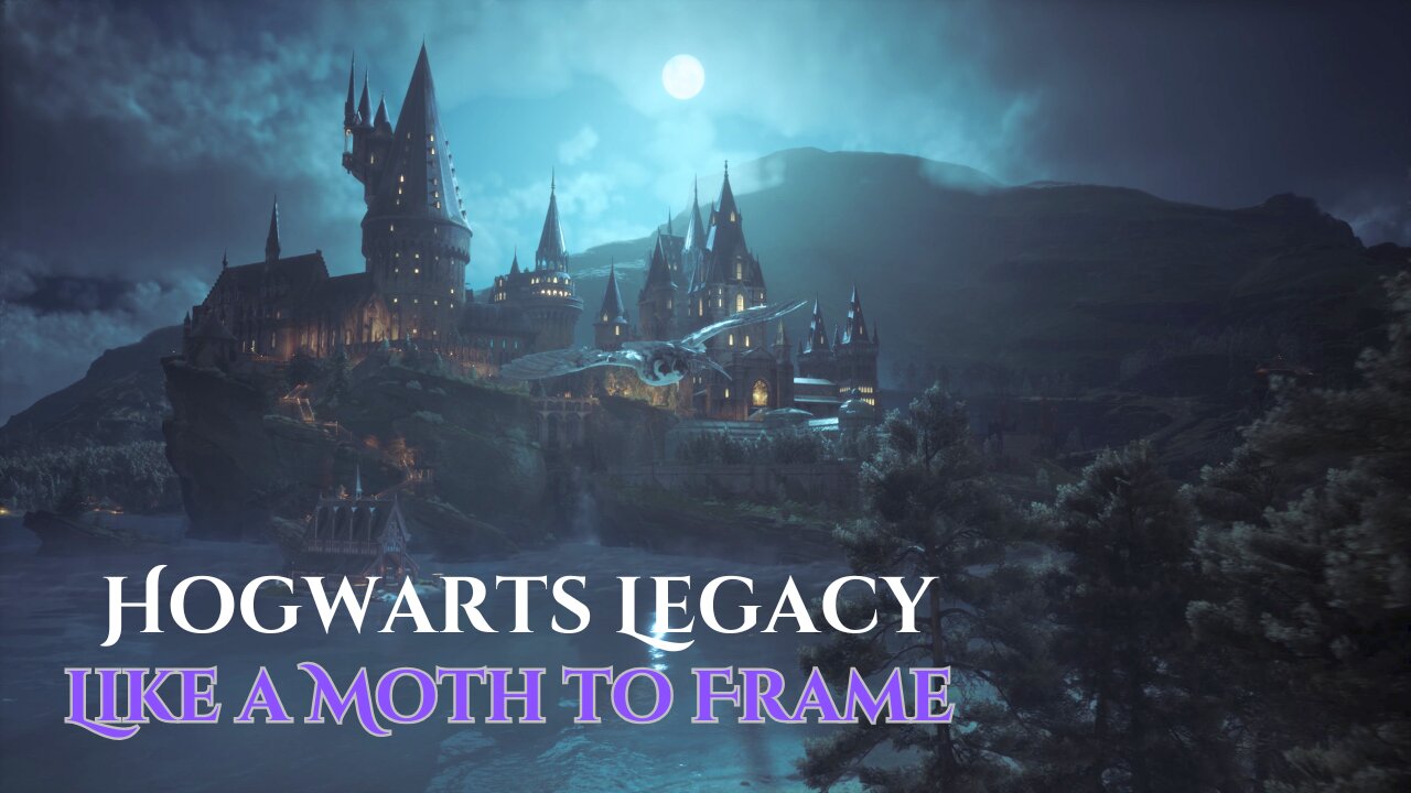 Hogwarts Legacy | Like a Moth to a Frame Puzzle |