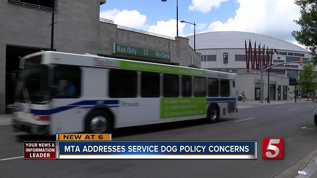 MTA Addresses Service Dog Concerns