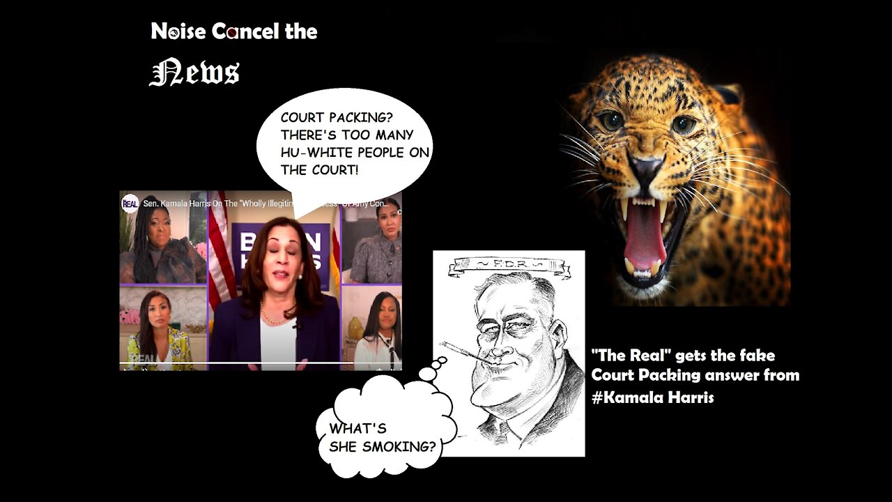 "The Real" gets the fake Court Packing answer from #Kamala Harris