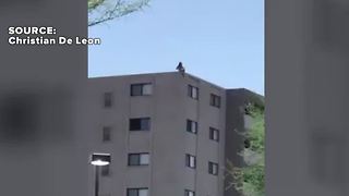Man on roof causes traffic delays near Flamingo, Maryland Parkway