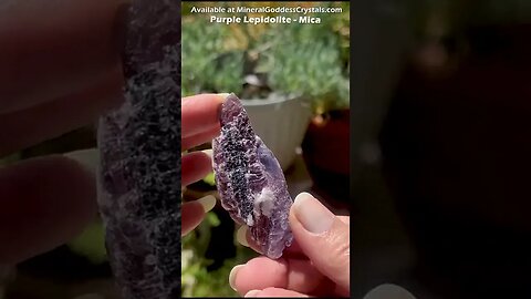Lepidolite Mica Crystals Best Crystals for Anxiety and Stress Mineral Goddess Mica Lepidolite