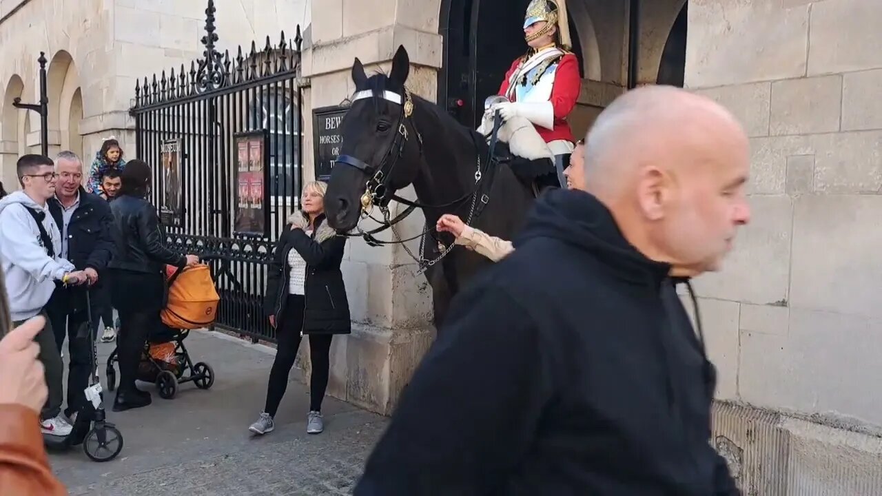 Horse does a grin after smelling tourist hand bag #buckinghampalace