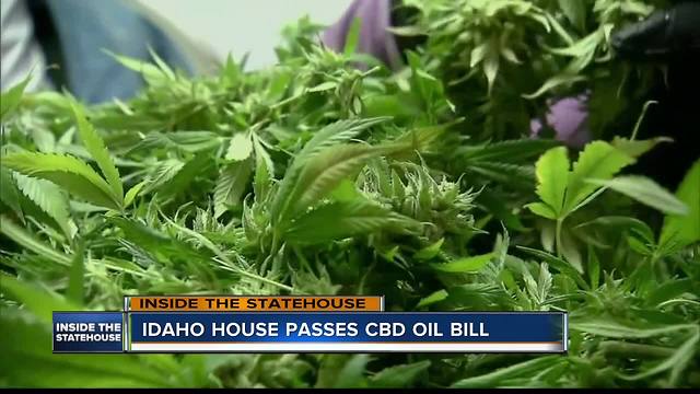 Idaho House OKs CBD oil billi