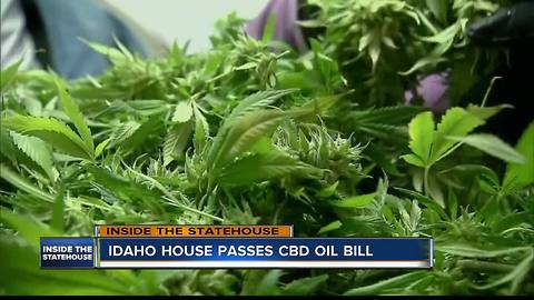 Idaho House OKs CBD oil billi