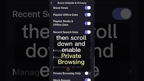 How to have maximum privacy on iPhone with these Brave settings