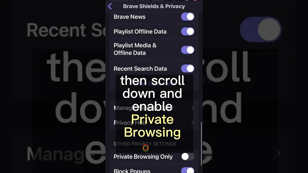 How to have maximum privacy on iPhone with these Brave settings