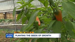 Group of teens learn farming skills with Boys and Girls Club