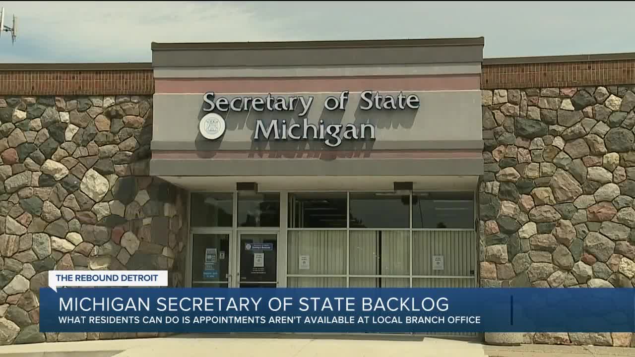 Michigan Secretary of State Backlog