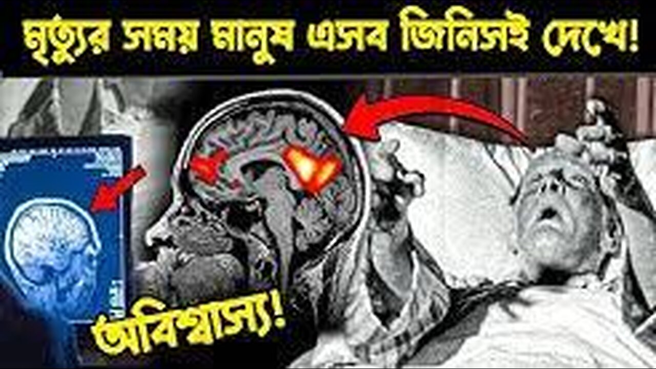 ফাইনালি বিজ্ঞানীরা আবিষ্কার করে ফেলেছে মানুষ মৃত্যুর আগে কি দেখে ! Medical Science Case Studies