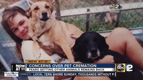 Pet owners worried about mass cremations, fear getting other animals' remains