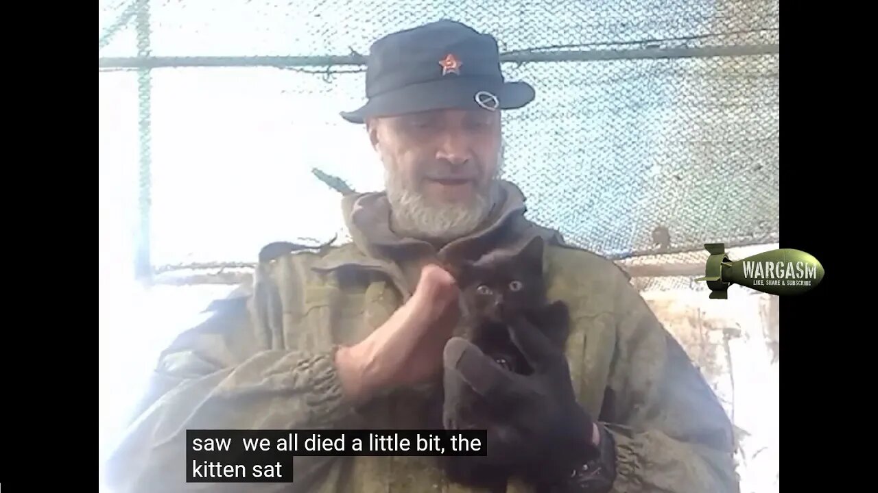 "The kitten turned grey overnight" (full version)