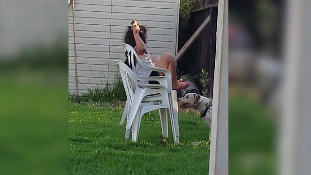 "Dog Chases Little Girl To Get Her Ice Cream"