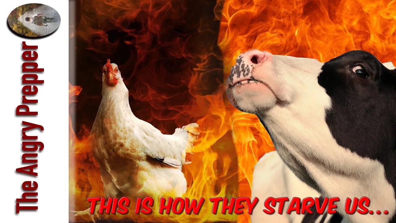 This Is How They Starve Us...