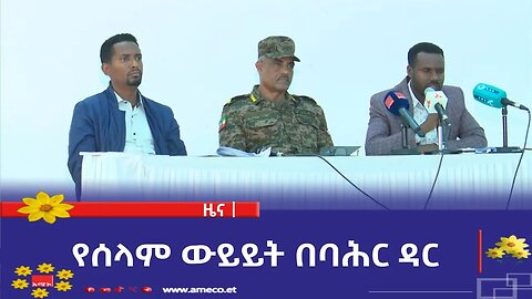 የሰላም ውይይት በባሕር ዳር