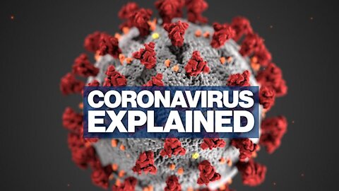 What is CORONAVIRUS??? AND How can PROTECT yourself???