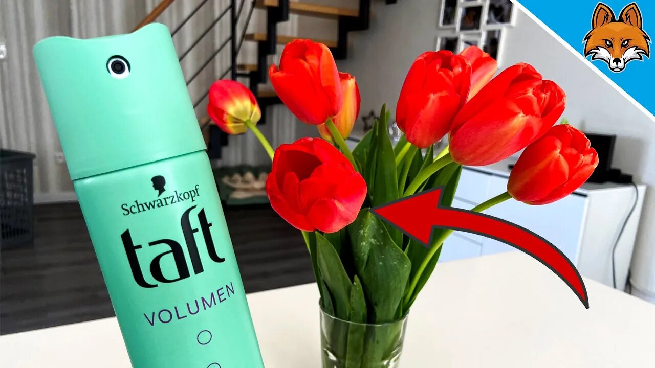 Put HAIRSPRAY on your Flowers and WATCH WHAT HAPPENS 💥 (Amazing) 🤯