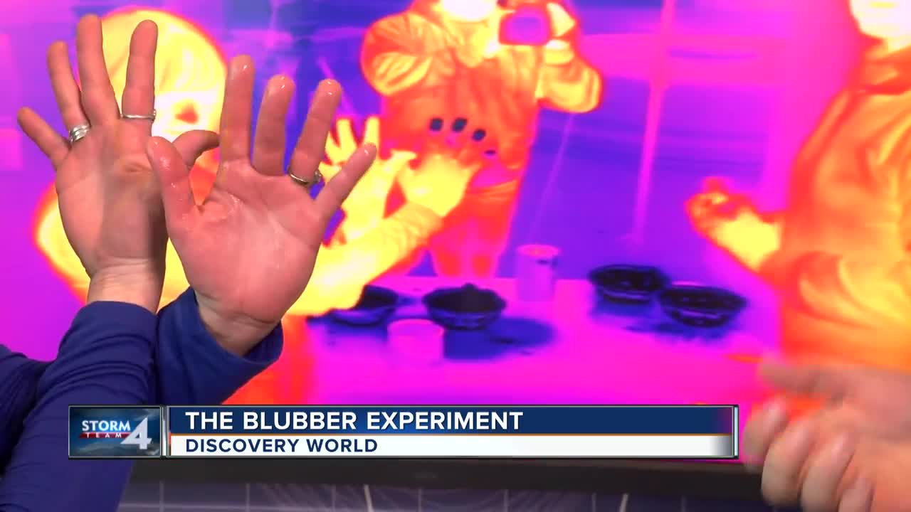 The "Blubber Experiment" at Discovery World