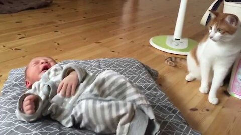 Newborn baby and Kitty meet for first time