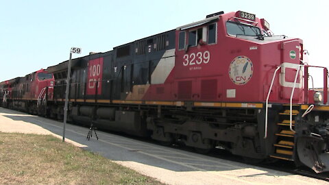 Train 397 CN 3239, CN 3808 & CN 3212 Engines Manifest Train Westbound In Ontario