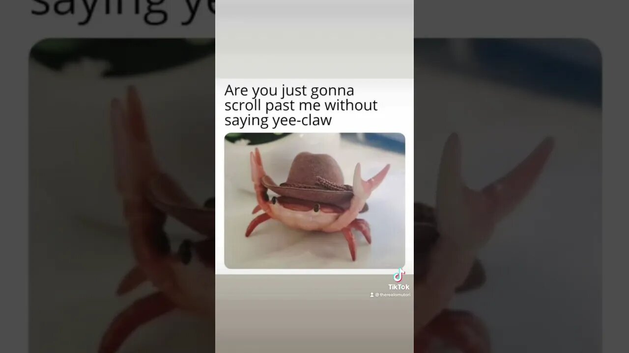 Gimme Gimme :3 #ENVtuber #Vtuber #GERVtuber #twitchstreamer #anime #bird #bird #crab #meme #memes