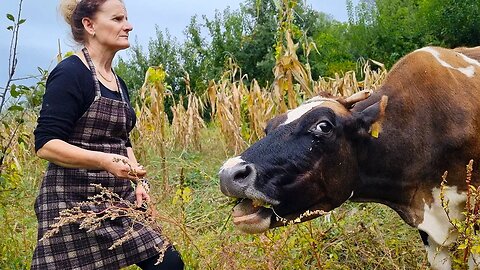 Mix of Rural Village Life: Authentic Albania!